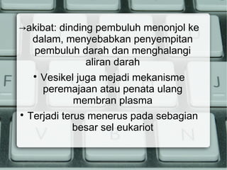 →akibat: dinding pembuluh menonjol ke
dalam, menyebabkan penyempitan
pembuluh darah dan menghalangi
aliran darah




Vesikel juga mejadi mekanisme
peremajaan atau penata ulang
membran plasma

Terjadi terus menerus pada sebagian
besar sel eukariot

 