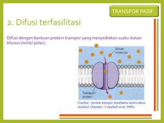 2. Difusi terfasilitasi
Difusi dengan bantuan protein transpor yang menyediakan suatu ikatan
khusus (ionik/ polar).
TRANSPOR PASIF
 