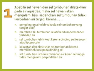 Apabila sel hewan dan sel tumbuhan diletakkan
pada air aquades, maka sel hewan akan
mengalami lisis, sedangkan sel tumbuhan tidak.
Perbedaan ini terjadi karena . . . .
A. pengeluaran air oleh vakuola sel tumbuhan yang
sangat aktif
B. membran sel tumbuhan relatif lebih impermeabel
terhadap air
C. sel tumbuhan lebih kuat karena dinding sel tersusun
atas lipoprotein
D. kekuatan dan elastisitas sel tumbuhan karena
memiliki selulosa pada dinding sel
E. sel tumbuhan isotonik terhadap air keran sehingga
tidak mengalami perpindahan air
 
