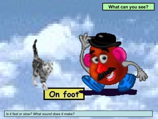 On foot Is it fast or slow? What sound does it make?  What can you see? 