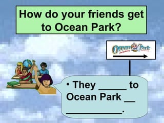 How do your friends get to Ocean Park? They _____ to Ocean Park __  __________. 