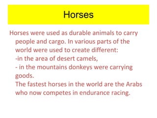 Horses Horses were used as durable animals to carry people and cargo. In various parts of the world were used to create different: -in the area of desert camels, - in the mountains donkeys were carrying goods. The fastest horses in the world are the Arabs who now competes in endurance racing. 