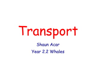 Transport Shaun Acar Year 2.2 Whales 