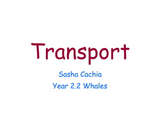 Transport Sasha Cachia Year 2.2 Whales 