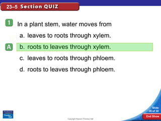 23–5


   In a plant stem, water moves from
       a. leaves to roots through xylem.
       b. roots to leaves through xylem.
       c. leaves to roots through phloem.
       d. roots to leaves through phloem.




                                                              Slide
                                                           26 of 30
                                                          End Show
                        Copyright Pearson Prentice Hall
 