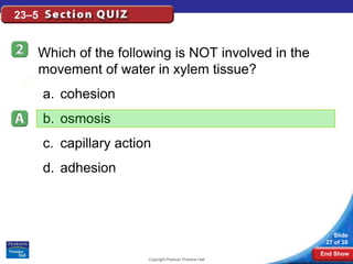 23–5


   Which of the following is NOT involved in the
   movement of water in xylem tissue?
       a. cohesion
       b. osmosis
       c. capillary action
       d. adhesion



                                                               Slide
                                                            27 of 30
                                                           End Show
                         Copyright Pearson Prentice Hall
 