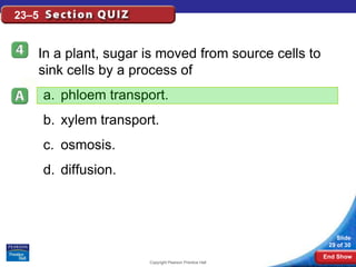 23–5


   In a plant, sugar is moved from source cells to
   sink cells by a process of
       a. phloem transport.
       b. xylem transport.
       c. osmosis.
       d. diffusion.



                                                              Slide
                                                           29 of 30
                                                          End Show
                        Copyright Pearson Prentice Hall
 