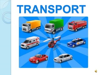 TRANSPORT