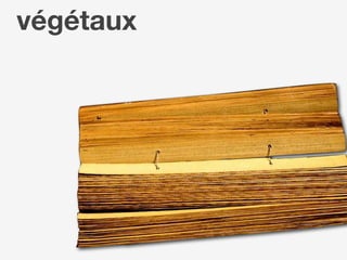 Transport (2) Supports