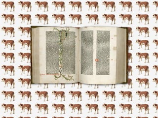 Transport (2) Supports