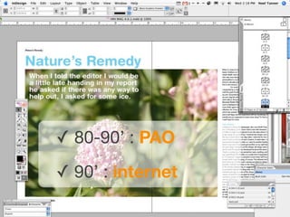 Transport (2) Supports