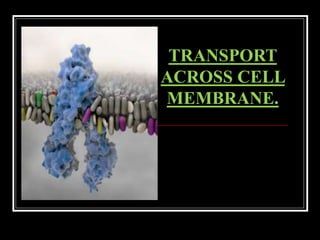 TRANSPORT
ACROSS CELL
MEMBRANE.
 