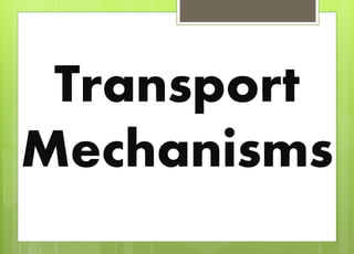 Transport
Mechanisms
 