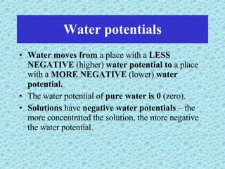 Water potentials Water moves from  a place with a  LESS NEGATIVE  (higher)  water potential to  a place with a  MORE NEGATIVE  (lower)  water potential. The water potential of  pure water is 0  (zero). Solutions  have  negative water potentials  – the more concentrated the solution, the more negative the water potential. 