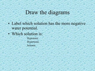 Draw the diagrams Label which solution has the more negative water potential. Which solution is: Hypotonic Hypertonic Isotonic 