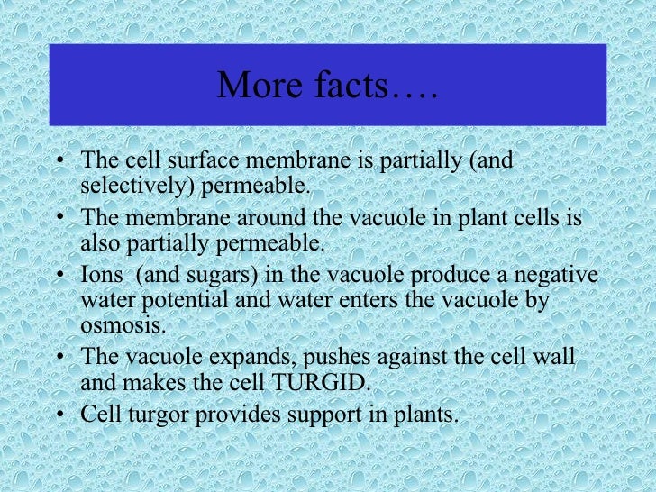 transport across cell membranes