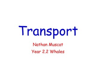 Transport Nathan Muscat Year 2.2 Whales 