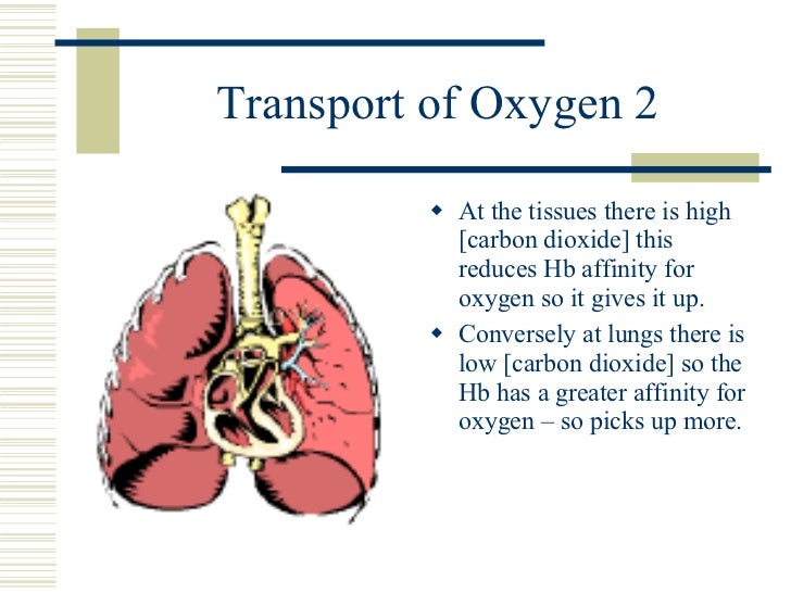 Transport Of Oxygen 2