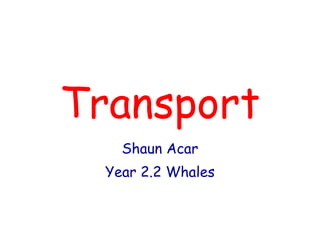 Transport Shaun Acar Year 2.2 Whales 