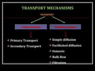 TRANSPORT ACROSS CELL MEMBRANE | PPT