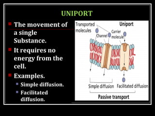 TRANSPORT ACROSS CELL MEMBRANE | PPT