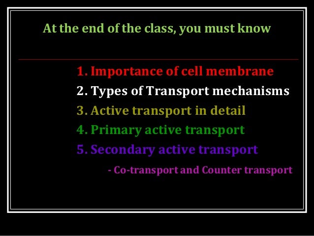 essay conclusion tips zombies