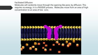 Facilitated Diffusion:
Molecules will randomly move through the opening like pore, by diffusion. This
requires no energy, it is a PASSIVE process. Molecules move from an area of high
concentration to an area of low conc.
 