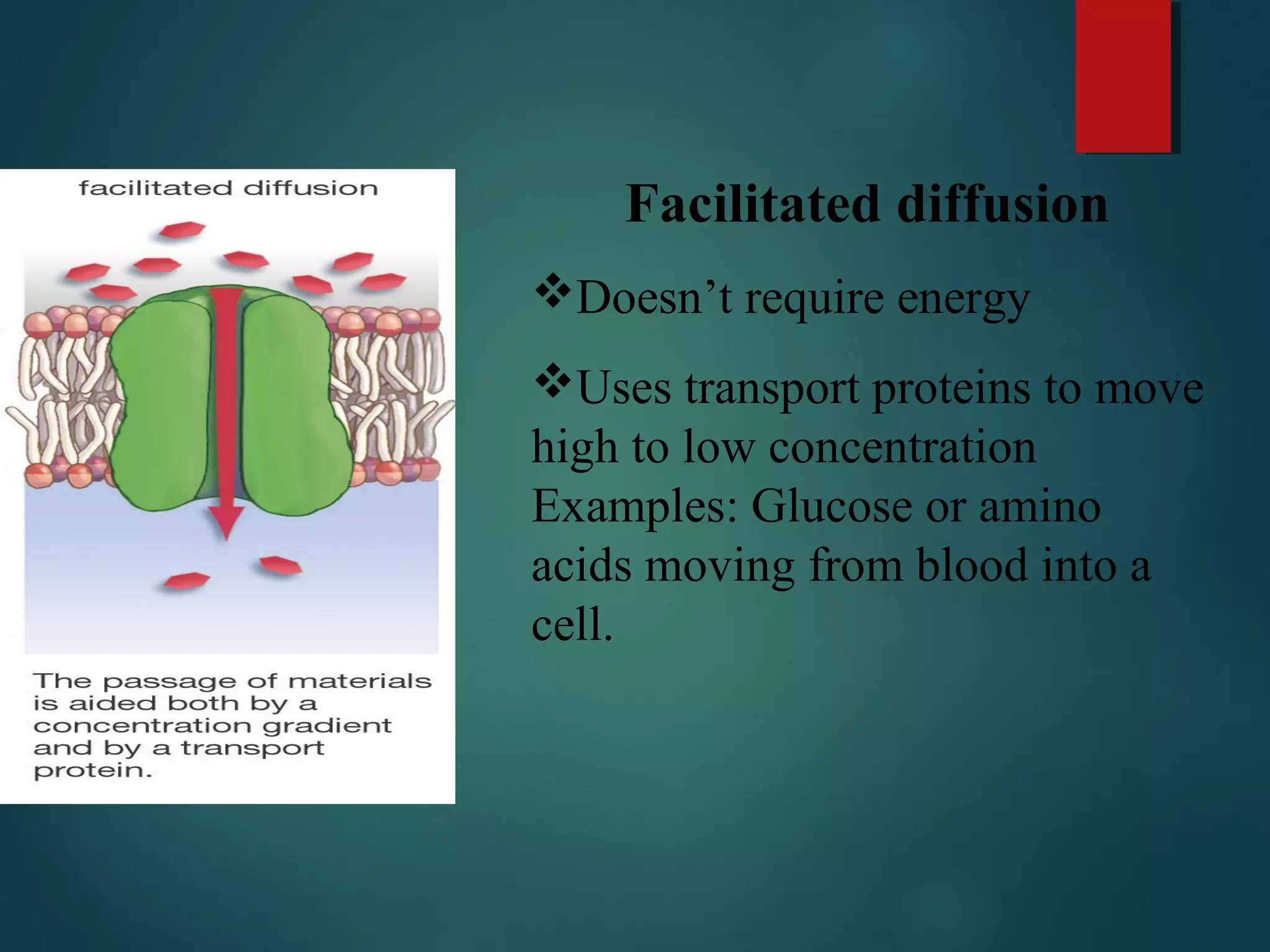 Transport across cell membrane | PPT