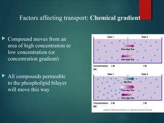 Transport across cell membrane | PPT
