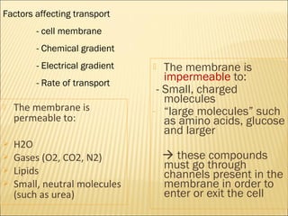  The membrane is
permeable to:
 H2O
 Gases (O2, CO2, N2)
 Lipids
 Small, neutral molecules
(such as urea)
 The membrane is
impermeable to:
- Small, charged
molecules
- “large molecules” such
as amino acids, glucose
and larger
 these compounds
must go through
channels present in the
membrane in order to
enter or exit the cell
Factors affecting transport
- cell membrane
- Chemical gradient
- Electrical gradient
- Rate of transport
 