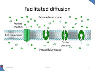 Transport across cell membrane | PPTX