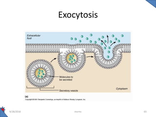 Transport across cell membrane | PPTX