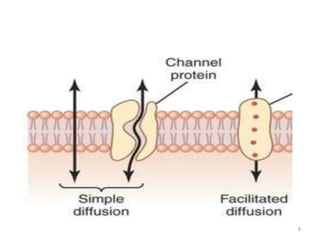 TRANSPORT ACROSS CELL MEMBRANE | PPTX
