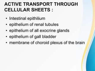ACTIVE TRANSPORT THROUGH
CELLULAR SHEETS :
• Intestinal epithilium
• epithelium of renal tubules
• epithelium of all exocrine glands
• epithelium of gall bladder
• membrane of choroid plexus of the brain
 