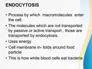 ENDOCYTOSIS
• Process by which macromolecules enter
the cell.
• The molecules which are not transported
by passive or active transport , those are
transported by endocytosis.
• Uses energy
• Cell membrane in- folds around food
particle
• This is how white blood cells eat bacteria
 