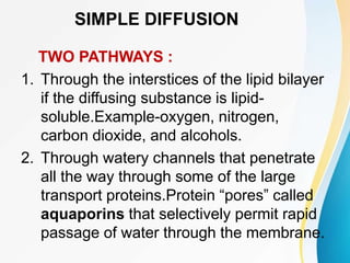 SIMPLE DIFFUSION
TWO PATHWAYS :
1. Through the interstices of the lipid bilayer
if the diffusing substance is lipid-
soluble.Example-oxygen, nitrogen,
carbon dioxide, and alcohols.
2. Through watery channels that penetrate
all the way through some of the large
transport proteins.Protein “pores” called
aquaporins that selectively permit rapid
passage of water through the membrane.
 