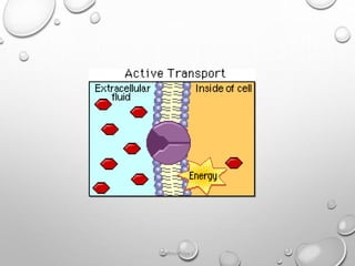 transport_across_cell_membrane_cellular_transport.pptx