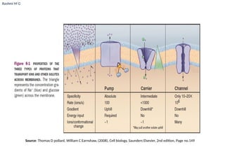 Pollarding Cell Transport across cell membrane (Diffusion, Active and Passive transport ...