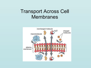 Transport Across Cell Membranes 