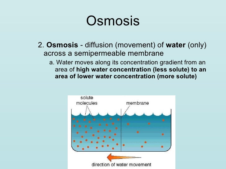 transport across cell membranes movement of water across a membrane