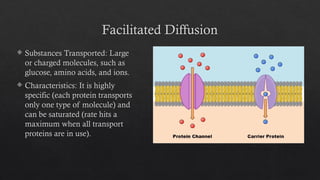 Comprehensive Overview of Transport Mechanisms Across Cell Membranes | PPTX