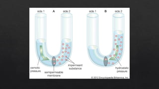 Comprehensive Overview of Transport Mechanisms Across Cell Membranes | PPTX