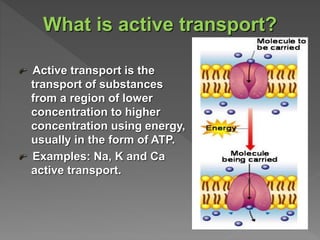 Transport across membrane | PPTX