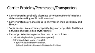 Transport across membranes   passive transport