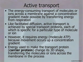 Active transport
• The energy-consuming transport of molecules or
  ions across a membrane against a concentration
  gradient made possible by transferring energy
  from respiration
• Like facilitated diffusion, active transport is
  achieved by special transport proteins, each of
  which is specific for a particular type of molecule
  or ion
• However, it requires energy (molecule ATP)
  because movement occurs up a concentration
  gradient
• Energy used to make the transport protein
  (carrier protein) change its 3D shape,
  transferring the molecules or ions across the
  membrane in the process
                                                ALBIO9700/2006JK
 