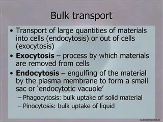 Bulk transport
• Transport of large quantities of materials
  into cells (endocytosis) or out of cells
  (exocytosis)
• Exocytosis – process by which materials
  are removed from cells
• Endocytosis – engulfing of the material
  by the plasma membrane to form a small
  sac or ‘endocytotic vacuole’
  – Phagocytosis: bulk uptake of solid material
  – Pinocytosis: bulk uptake of liquid
                                              ALBIO9700/2006JK
 
