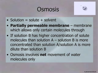 Osmosis
• Solution = solute + solvent
• Partially permeable membrane – membrane
  which allows only certain molecules through
• If solution B has higher concentration of solute
  molecules than solution A – solution B is more
  concentrated than solution A/solution A is more
  dilute than solution B
• Osmosis involves net movement of water
  molecules only


                                             ALBIO9700/2006JK
 