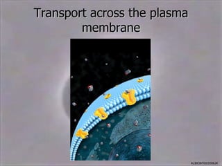 Transport across the plasma
        membrane




                              ALBIO9700/2006JK
 