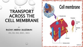 TRANSPORT
ACROSS THE
CELL MEMBRANE
BY
RAJAH AMINA SULEIMAN
(RN, RM, RNE, BNSC., MSC)
 