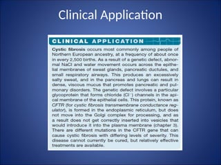 Clinical Application
 